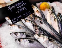 árufeltöltés, halak