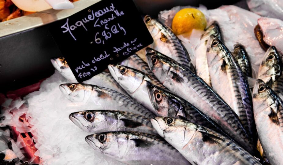 árufeltöltés, halak